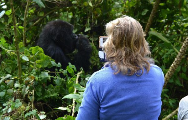 We are The Best Tour And Travel Company in Africa. Wild Excursions is a community-based safari company in Uganda, offering affordable safaris and holidays to all tourist attractions across East Africa.