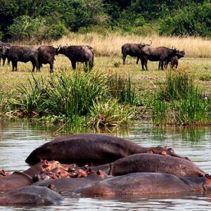 9-Day Northern Uganda & Central Highlands Cultural Safari